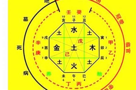 木火命|八字喜木火开运方法 (木命喜火做什么更容易成功)